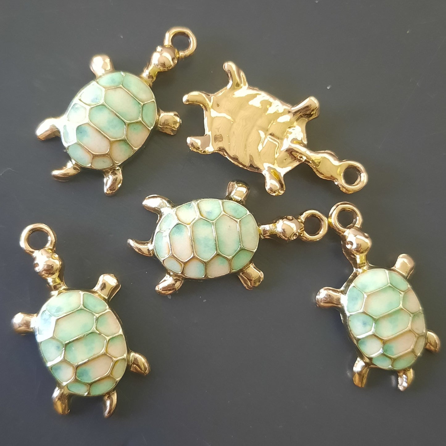Bedel schildpad mint