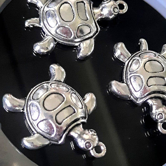 Bedel schildpad XL