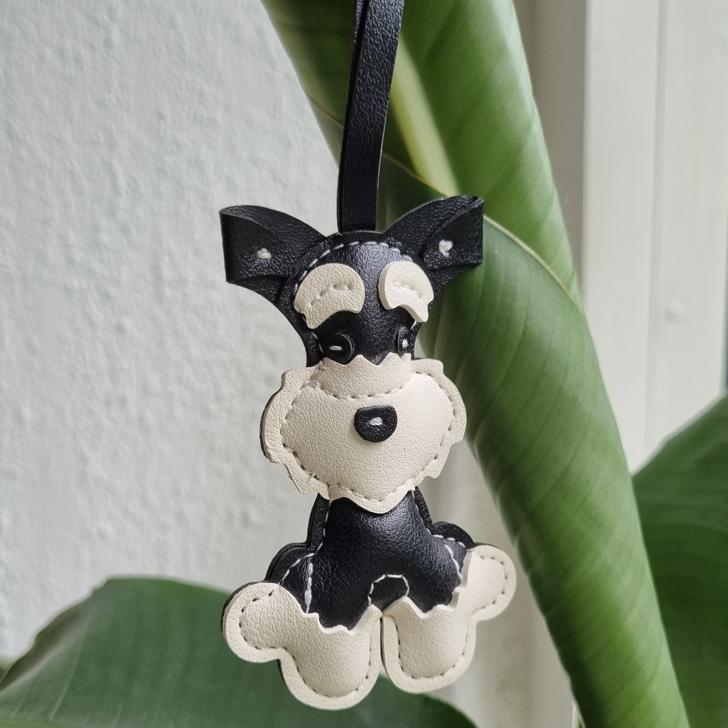 Tashanger schnauzer zwart