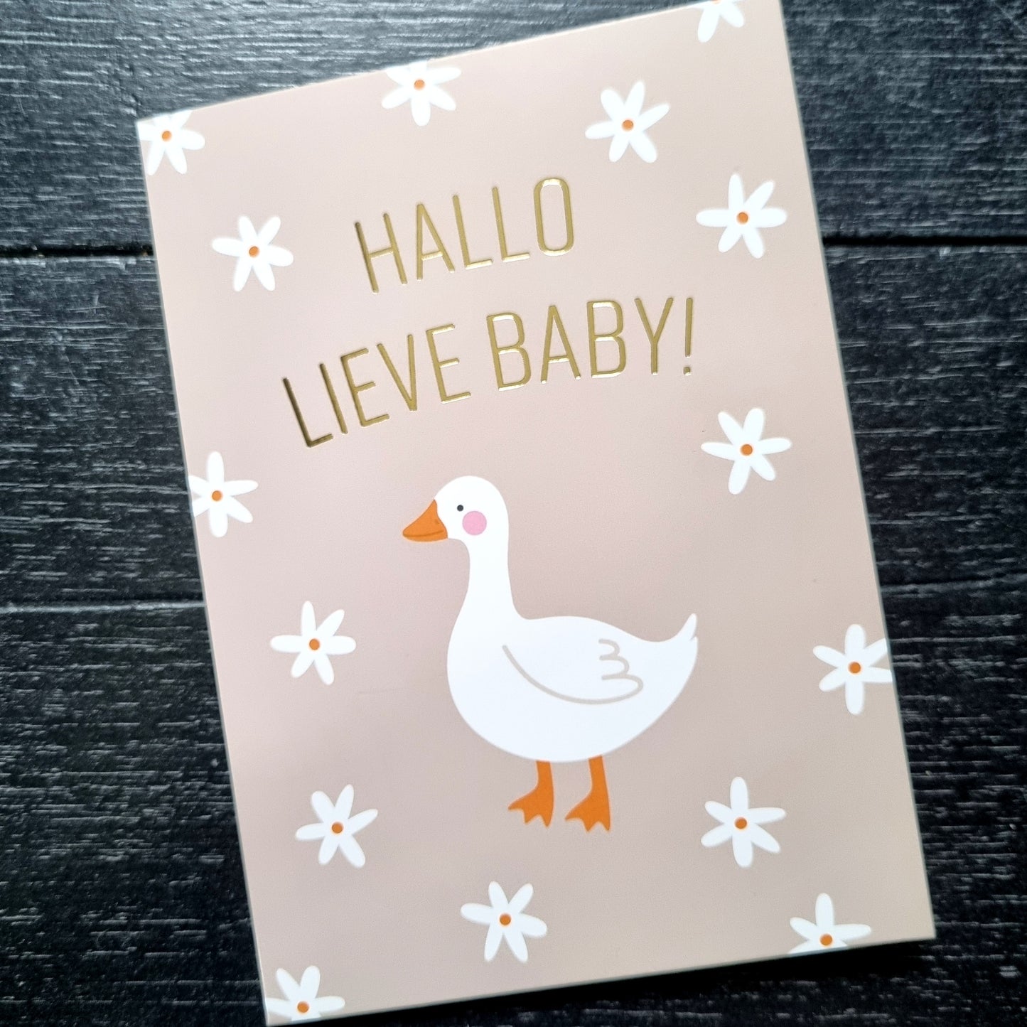 Kaart hallo lieve baby gans